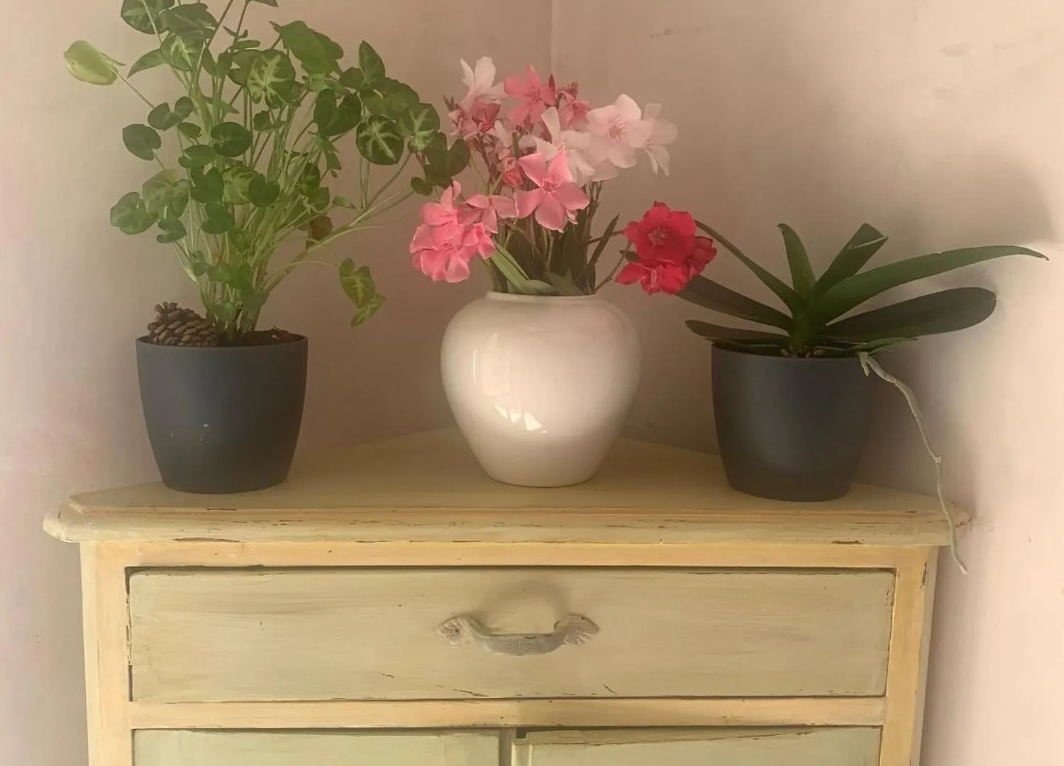 La Rainette En Provence Bed & Breakfast Claviers